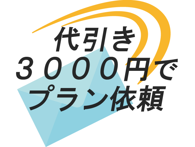 代引き３０００円でプラン依頼